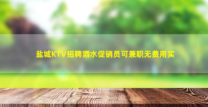 盐城KTV招聘酒水促销员可兼职无费用实